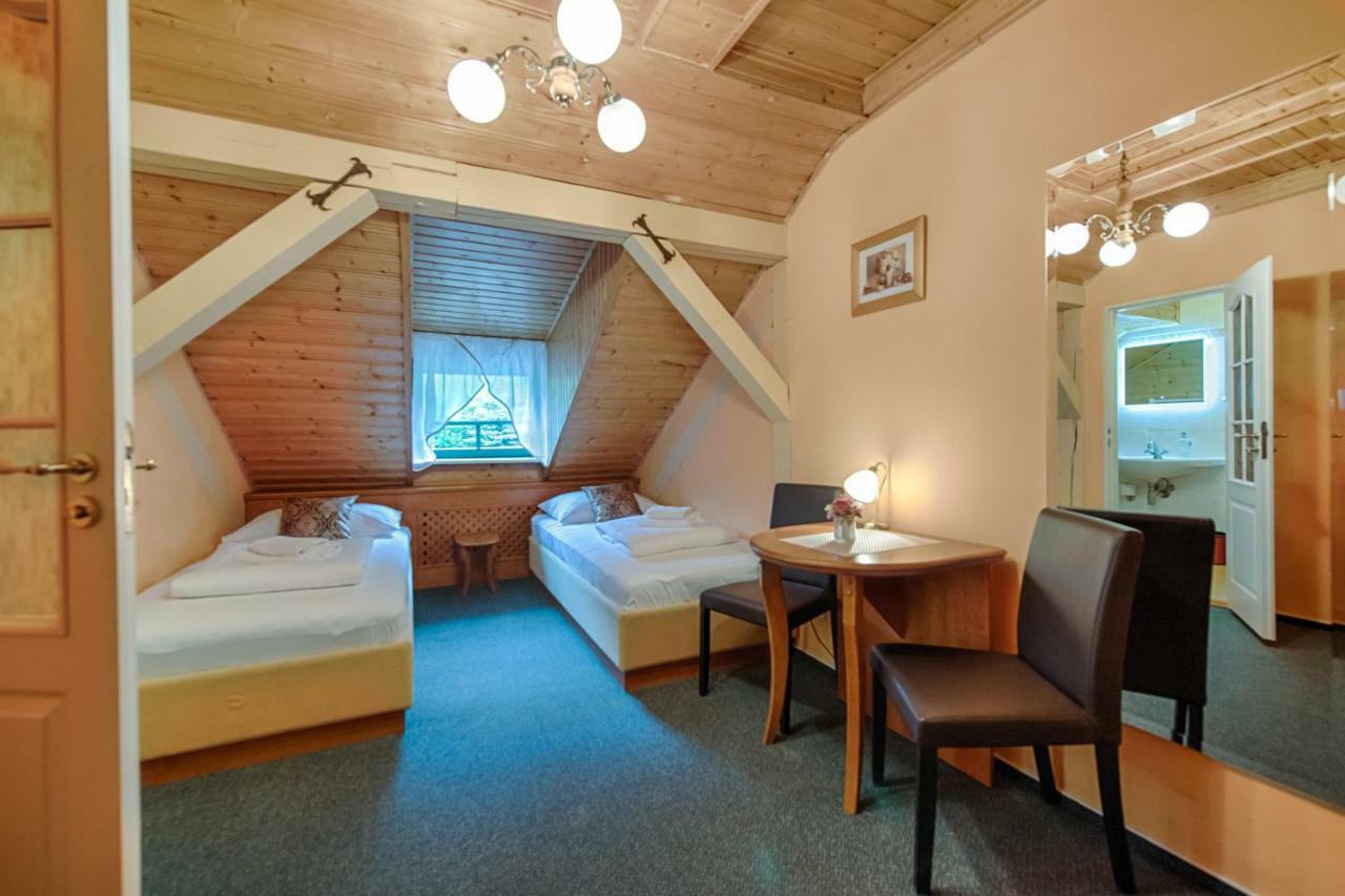 Hotel Zlaty Orel Ostravice Værelse billede